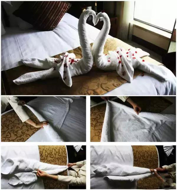 酒店方巾天鹅造型折叠方法