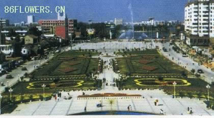 荆州市沙隆达广场图片