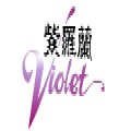 紫罗兰品牌