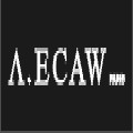 A. ECAW品牌